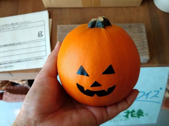 【箕面】誰でも参加できる「かぼちゃの重さあてクイズ」花と暮らす店 木花 Moccaで開催中！10月31日まで（教えたい／教えて）