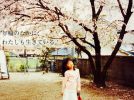 【茨木】何て読む！？天王小学校近くの「素盞鳴尊神社」で、クスノキやアベマキの保存樹に癒されよう