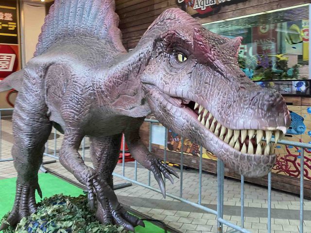 柏二番街商店会に恐竜が出没！！