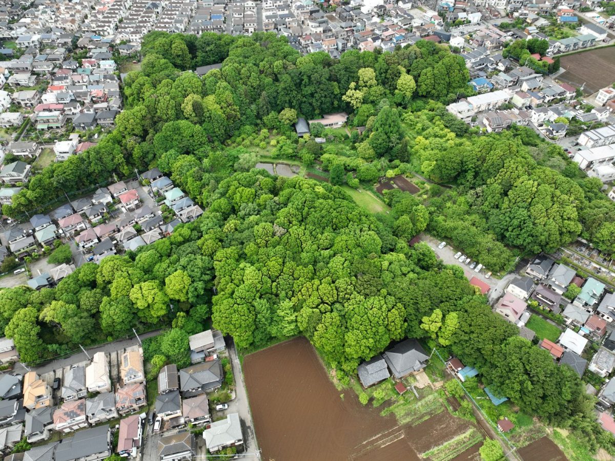 下田の杜全体像（空撮）