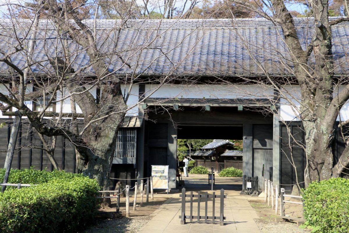 ソメイヨシノの花のアーチができる入り口の門。次は春に訪れたい。