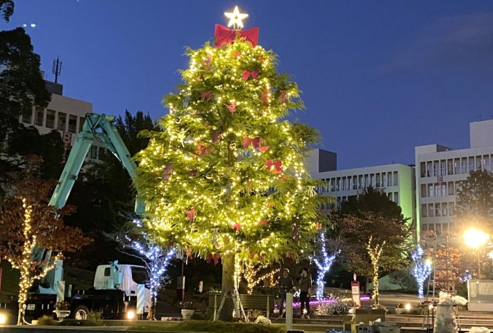 【茨木】梅花女子大学のツリーがリニューアル！12/9（土）のクリスマスイブニングで点灯式