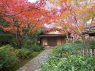 【吹田】万博記念公園は色づく紅葉が見ごろ！「紅葉まつり」12月3日（日）まで開催中