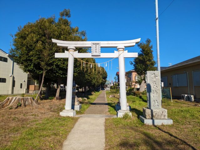 【柏】【戸張】【初詣】お正月のまるしぇ＠香取神社