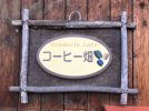 【深井】おいしいものと音楽がゆるく集うお店「食堂カフェ コーヒー畑」