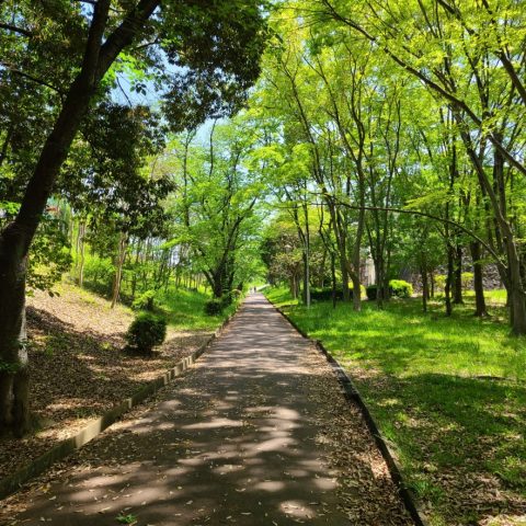 【泉北】四季を楽しむ！緑道を歩こう