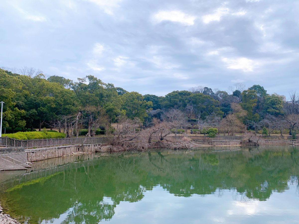 桃山台に位置する西原公園の大方池