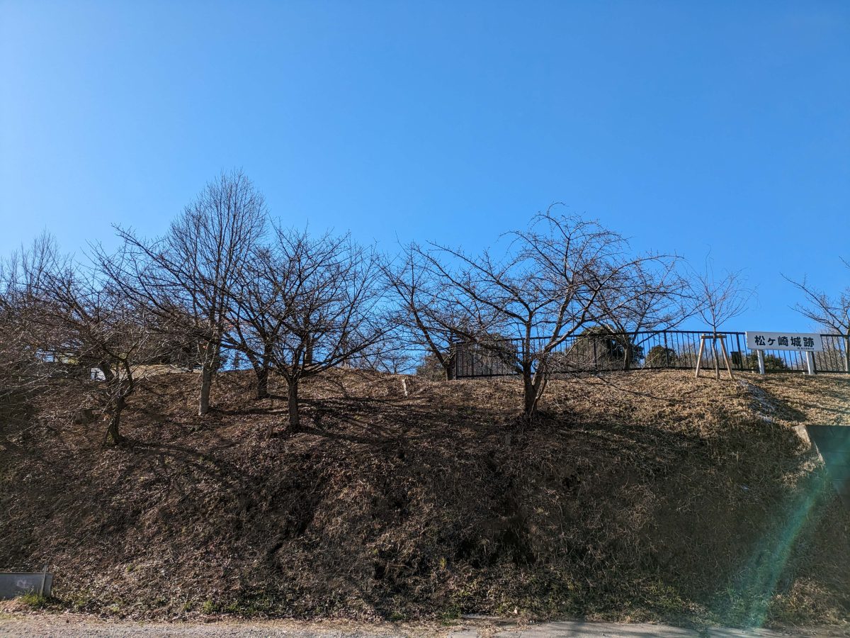 引きで撮るとこんな感じ。右側に看板、左の木々が河津桜。1月だったので今年はまだ咲いてませんでした。