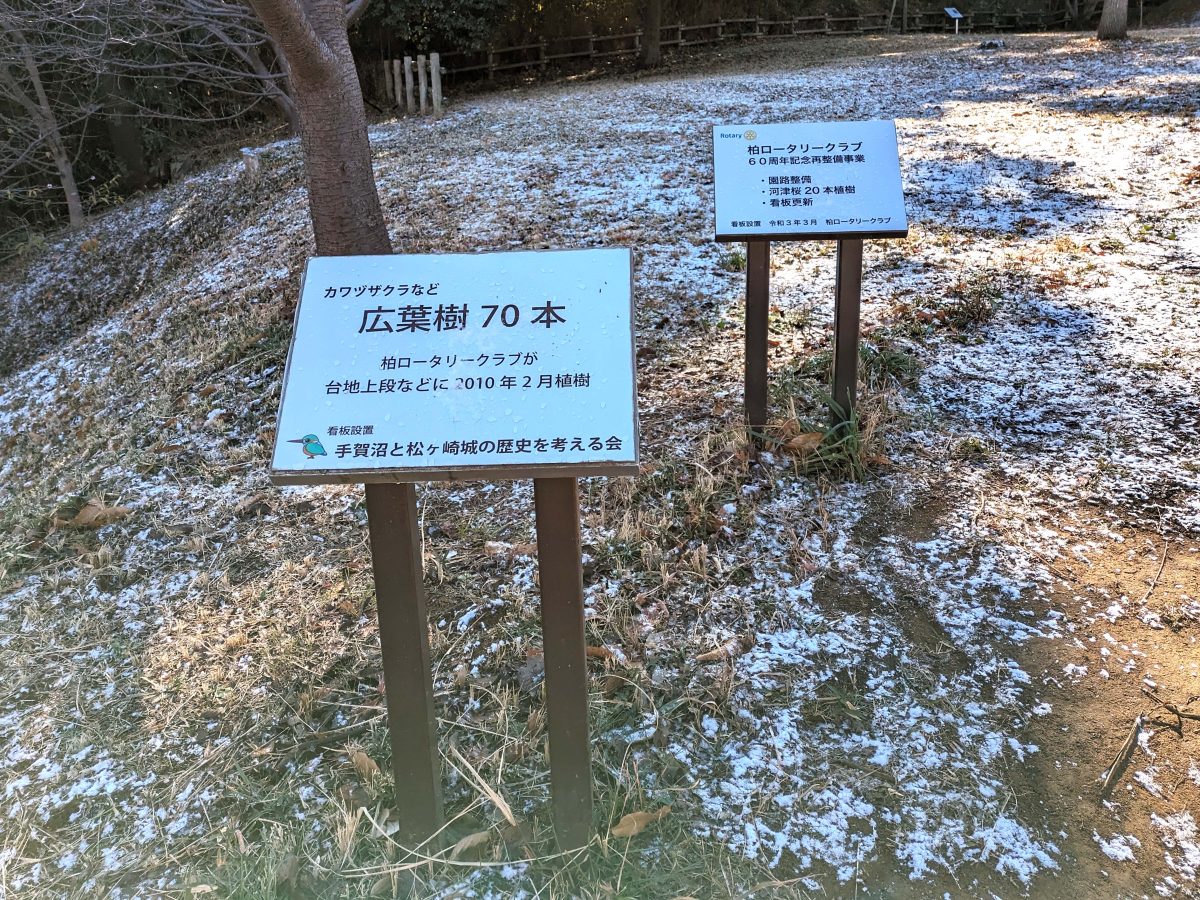 河津桜など広葉樹70本を2010年に植樹したそうです。
