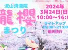 【流山】樹齢推定400年のしだれ桜を見に行こう！第4回【瀧櫻まつり】開催は3月24日(日)