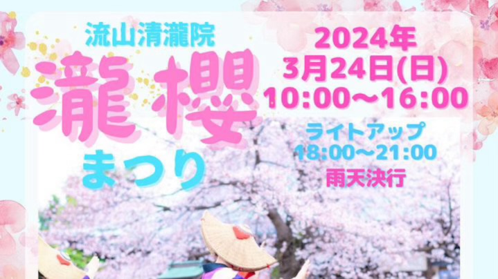【流山】樹齢推定400年のしだれ桜を見に行こう！第4回【瀧櫻まつり】開催は3月24日(日)