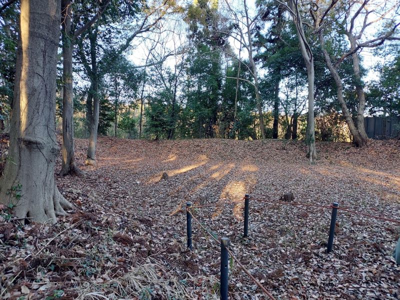 戦時中に戦闘機を隠していた「掩体壕」。貴重な戦争遺跡のひとつです。公園内のガイドについては、NPO法人こんぶくろ池自然の森のスタッフの方々にぜひお声をかけてみてください。