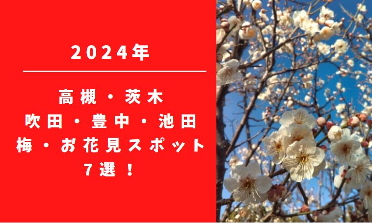 【北摂】2024年、高槻・茨木・吹田・池田・豊中の「梅」お花見スポット7選＋！
