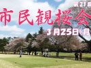 【我孫子】3/25 市民観桜会＠我孫子ゴルフ倶楽部