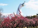 【吹田】楽しい梅イベントも目白押し！万博記念公園で「梅まつり」2月10日（土）～3月10日（日）開催