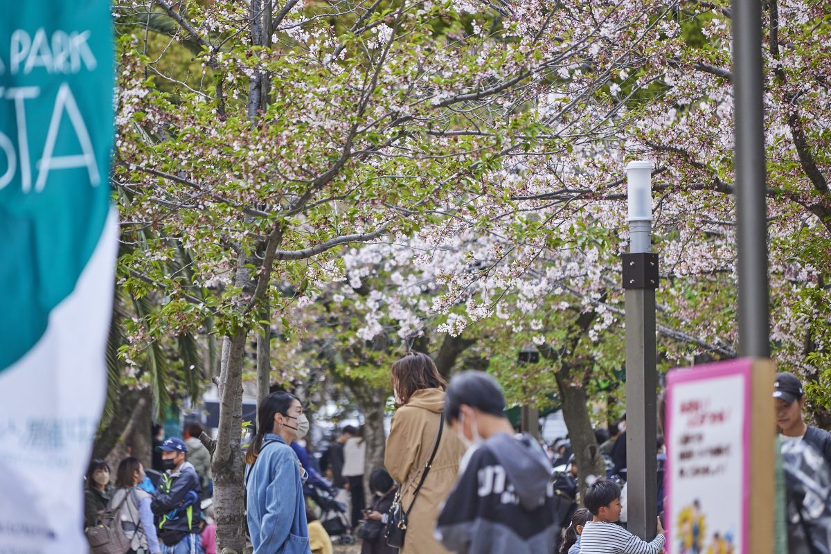 昨年のリニューアルオープンイベント時のPhoto 「桜」
