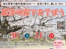 【柏】3/18-31 桜の季節の園内散策 30,31にはイベントも開催！＠麗澤の森