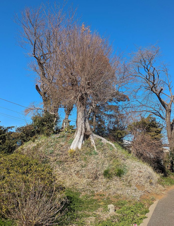 高柳の富士塚。住宅街の一画に残る聖地。正面は山頂まで階段です。