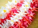 【流山】4/20(土)に流山がハワイになる？！「ハワイアンフラフェスティバル HOLO I MUA IN NAGAREYAMA」が開催されます！