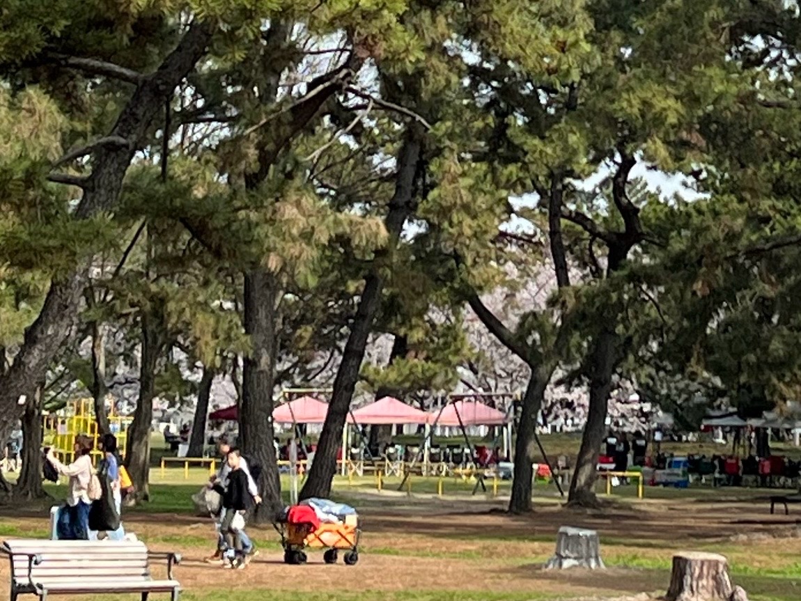 時間が経つごとにキャリーカートをひいた人が公園内に続々と集まります