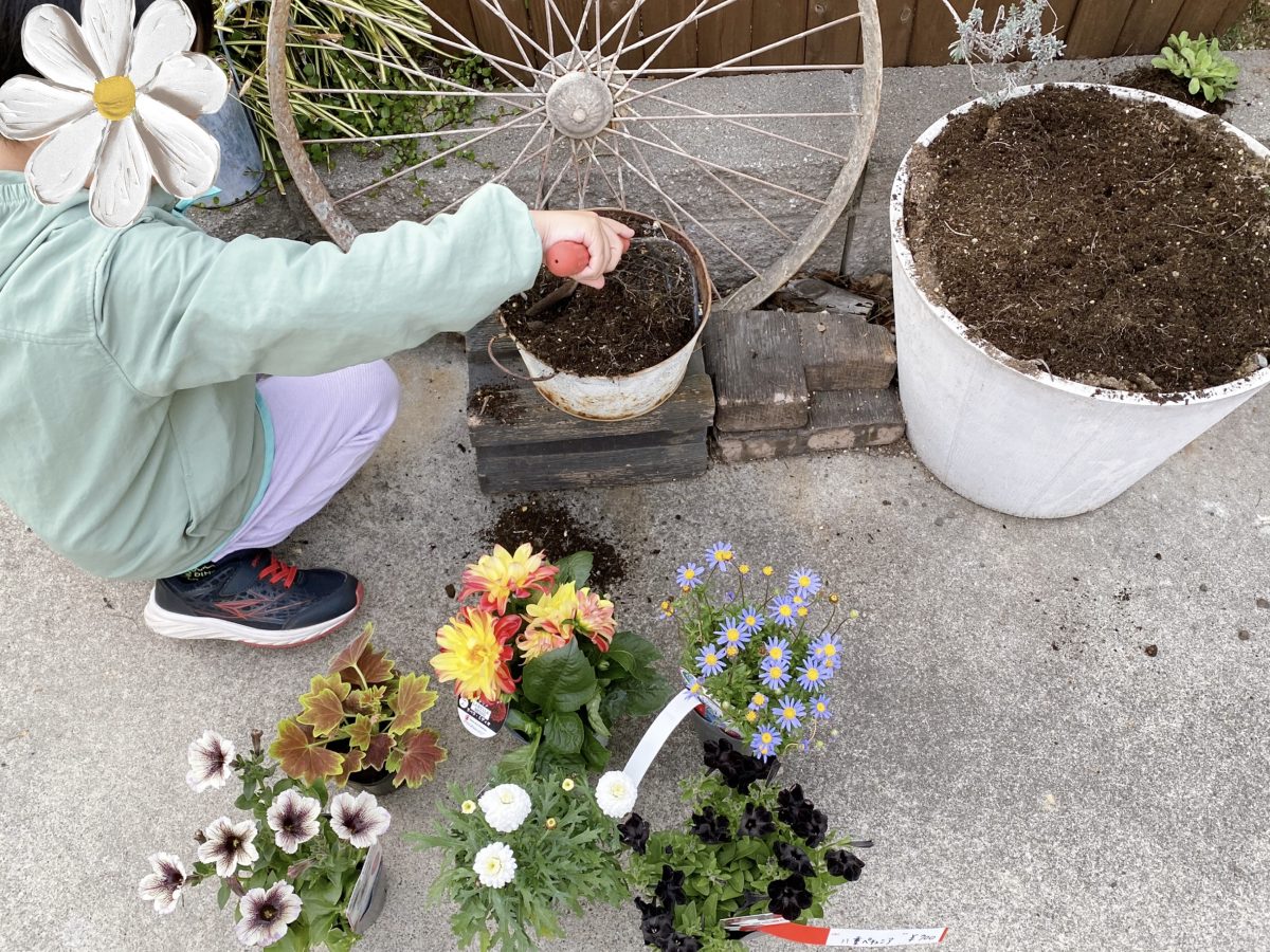 自宅のお庭で早速お花を植えていきまーす♪　５歳息子もガーデニング歴3年！「ぼくが全部やるよ」花育にもなってます♡