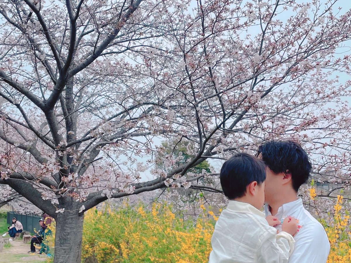 パパと息子の背景には桜とレンギョウが