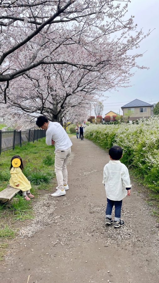 桜とユキヤナギ（撮影の合間に。こどもが飽きないか親はヒヤヒヤ）