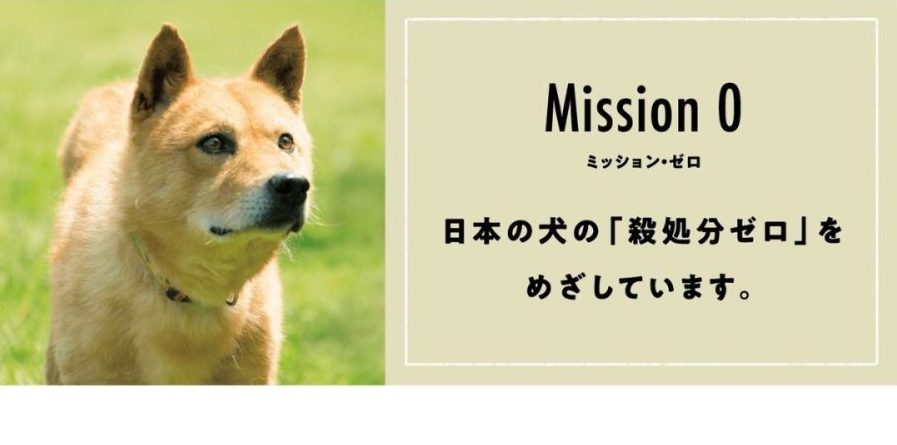 Mission０　日本の犬の「殺処分ゼロ」をめざしています。