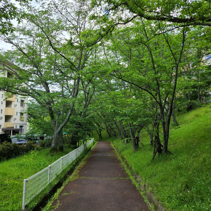 【泉北】新緑が美しい季節に緑道散歩|まちっと堺・泉北