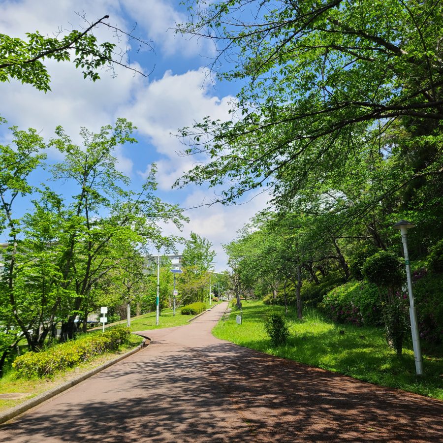 【泉北】新緑が美しい季節に緑道散歩