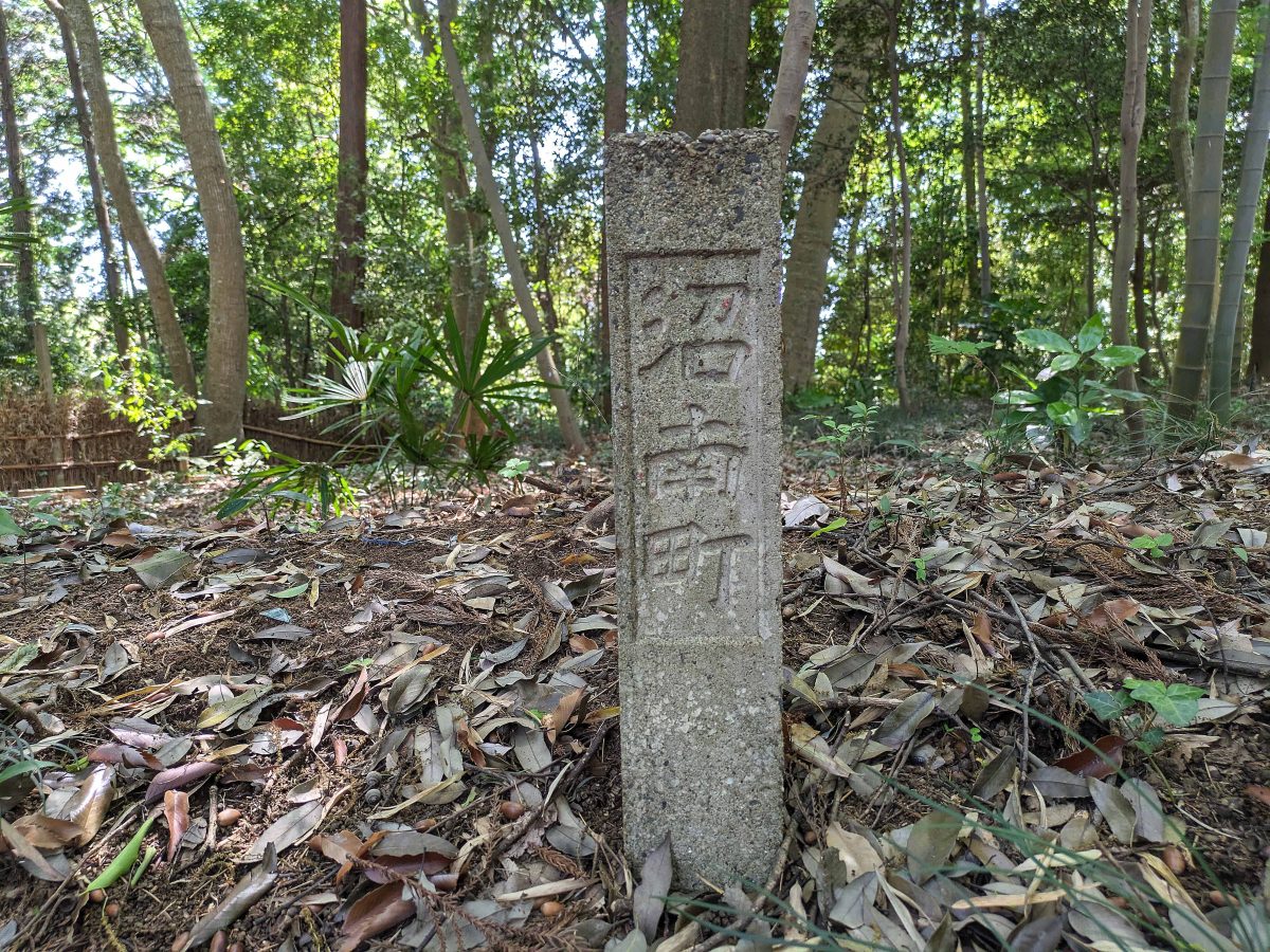 森の中にある「沼南町」の標識。これももう遺跡なんでしょうか。