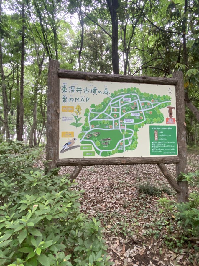 自然豊かな古墳公園も会場のすぐ隣にあります