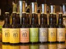【柏】柏から世界へ！ミャンマー素材の新しいクラフトビールの開発 by 柏ブルワリー