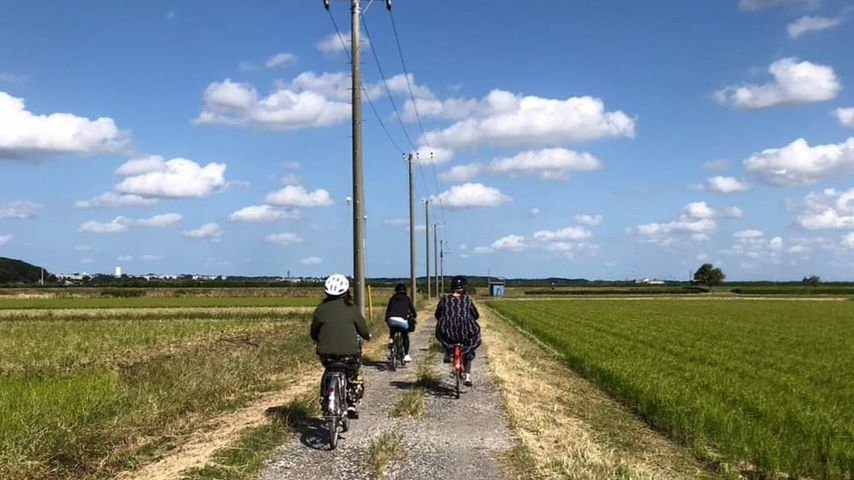 【柏】開運＆癒しの歴史観光サイクリングツアー開催。道の駅しょうなん発、2時間で小旅行気分！