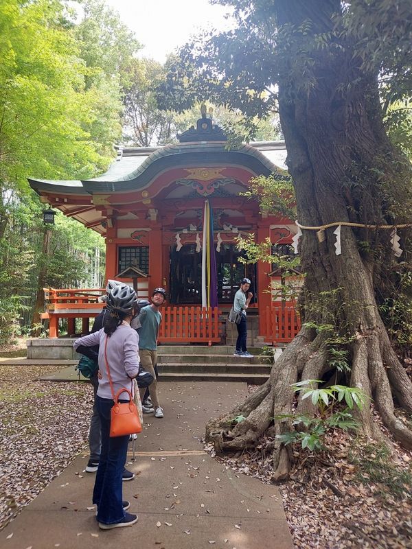 大井香取神社。生命力あふれる樹々からエネルギーチャージ！