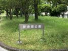 【新金岡】緑豊かな新金岡公園