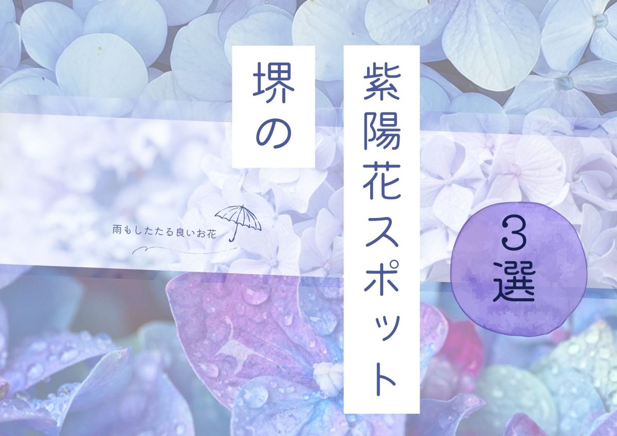 【堺】梅雨時期にこそ愛でたい、堺の紫陽花スポット3選