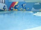 【茨木市】小さいお子さんも楽しめる「茨木市立五十鈴市民プール」が今年もオープンしています！