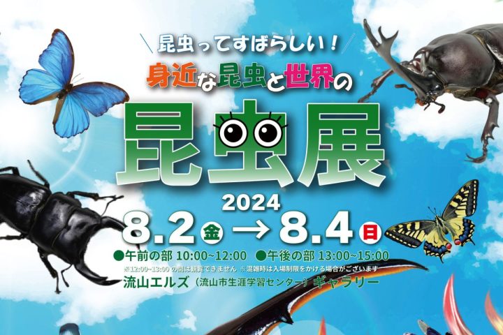 【流山】8/2-4 身近な昆虫と世界の昆虫展＠流山エルズ