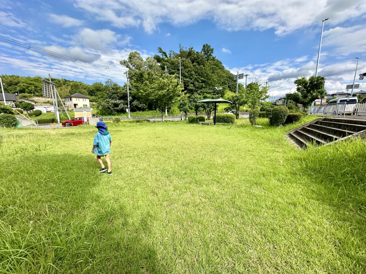 泉北南線側の入口からの草広場