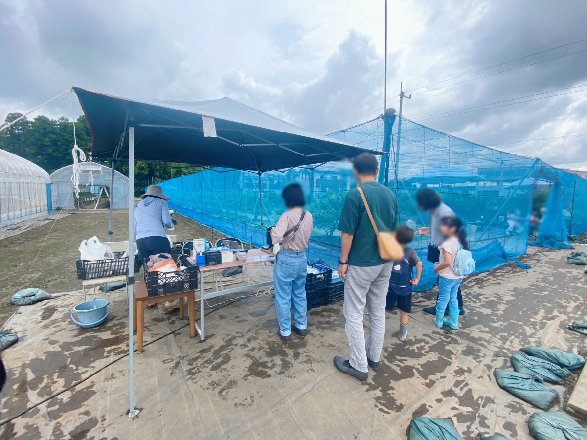 【受付】摘み取り•食べ放題どちらかのプランを選び入園料含めて精算します〜摘み取りのお土産パックは帰る際に受付で蓋をして袋に入れてもらえました〜