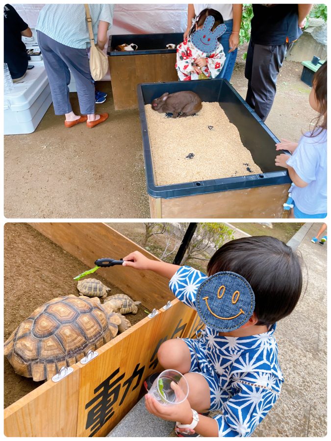 うさぎ•モルモット•リクガメさんが出張してくれました