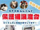 【松戸市・柏市】9/7,28保護猫譲渡会 ＆ 9/8フリマ by NPO法人にゃん2