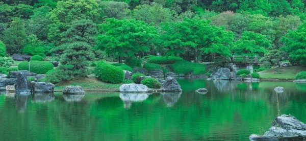 【百舌鳥】大仙公園「日本庭園」の2024年夏のイベントまとめ
