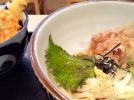 【池田市】石橋商店街にお引越しした「讃岐うどん たちばな」　素材にこだわった冷たいうどん＆サクザク天ぷらはとっておきの夏のご馳走♪