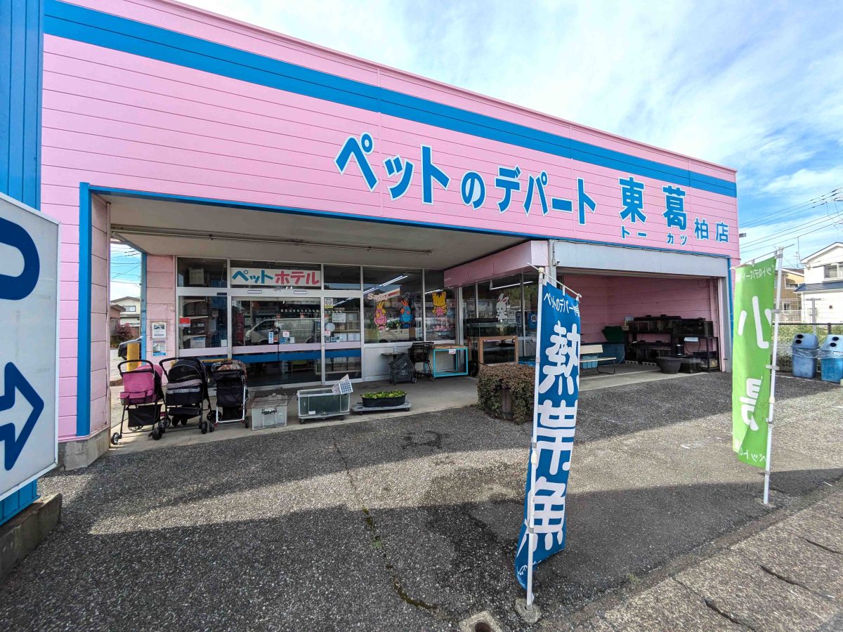 ペットのデパート 東葛 柏店