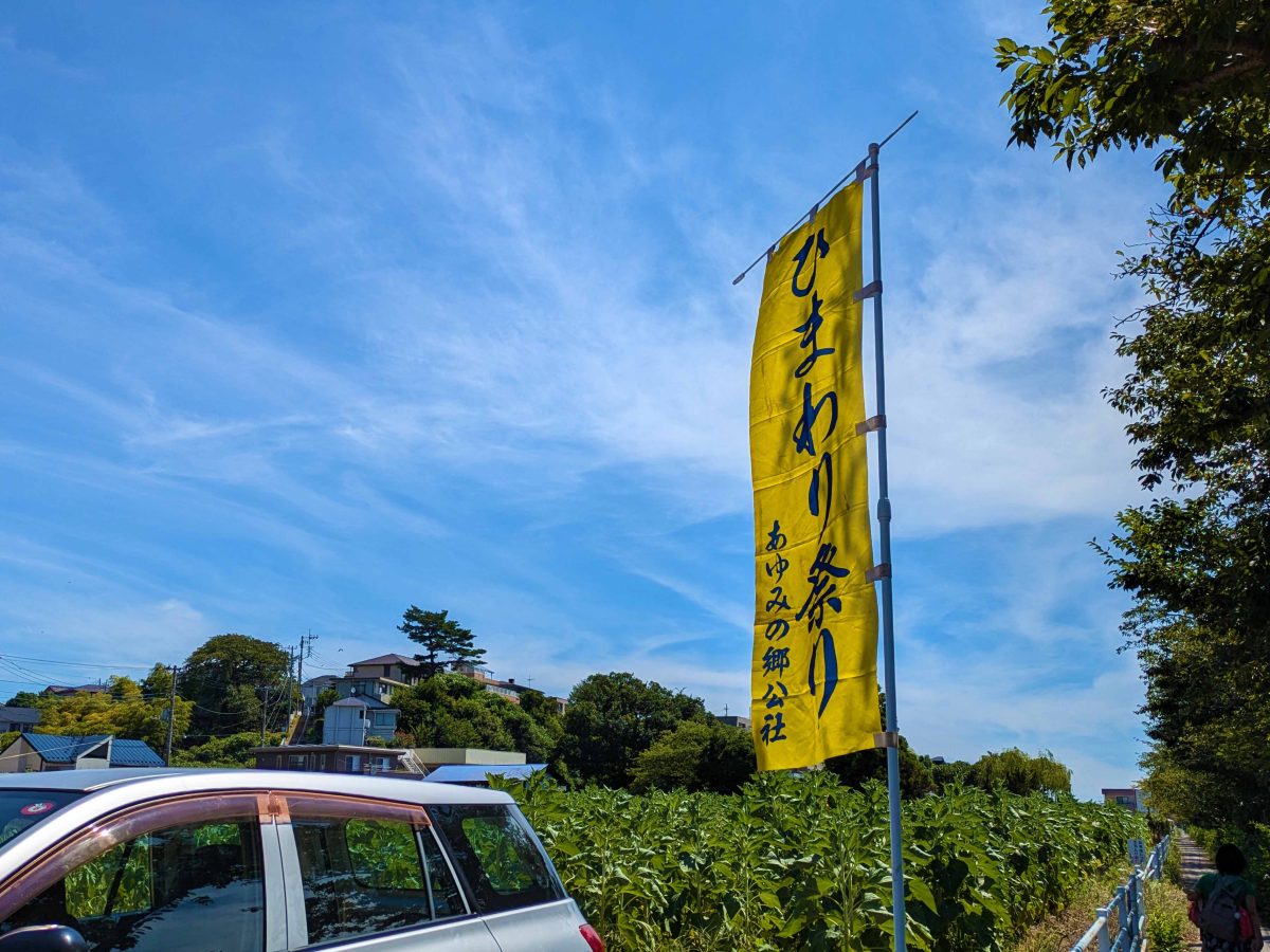 ひまわりイベントののぼり