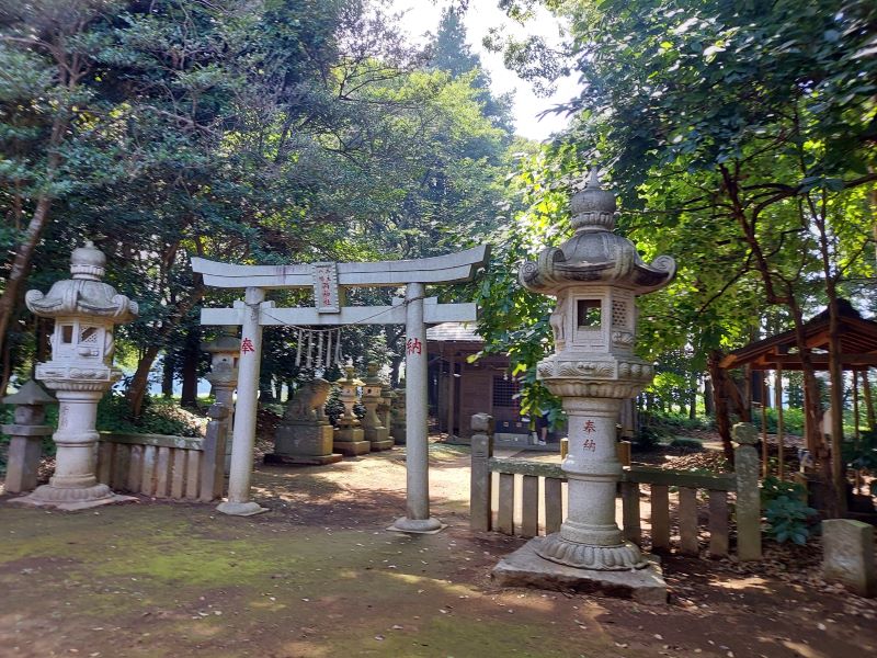 兵主八幡神社。本殿は雨除けの庇や囲いでおおわれているため、一部しか見られませんが、見事な彫刻が施されていますよ！