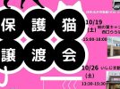 【松戸市・柏市】2024年10月5日,19日,26日,27日 保護猫譲渡会 by NPO法人にゃん2