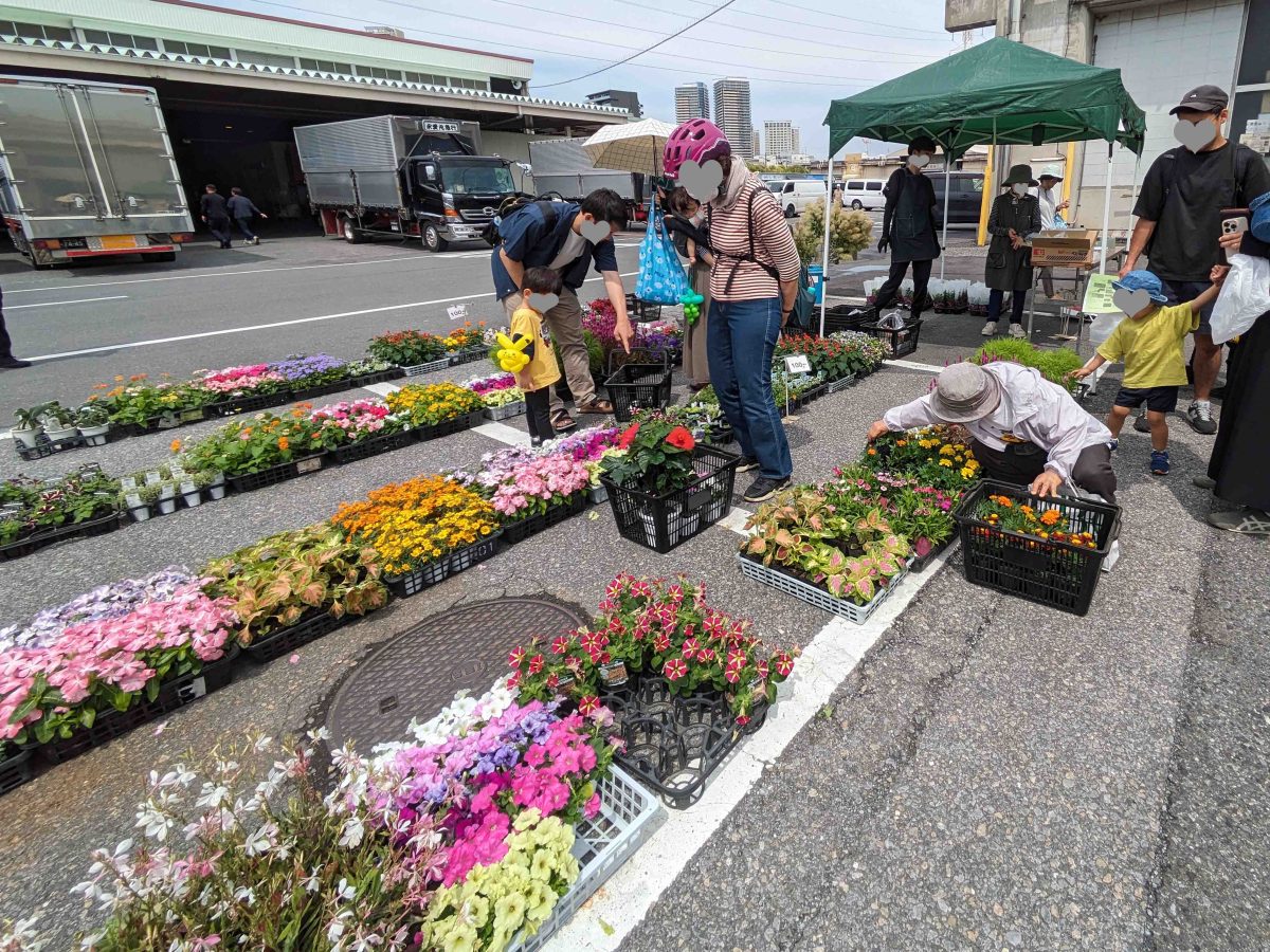 花の苗もありますよ。